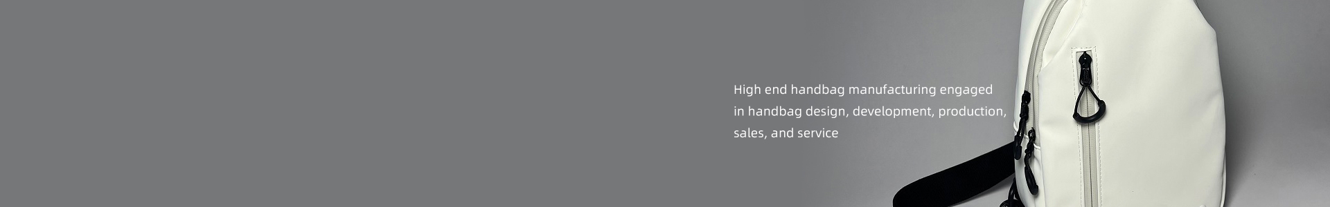 Travel & Luggage Bags